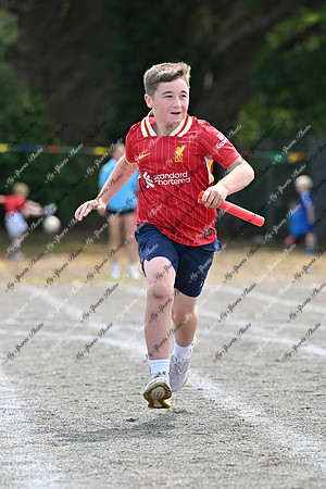 Tandragee PS-329