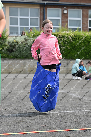 Tandragee PS-131