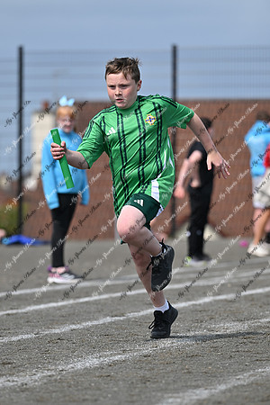 Tandragee PS-338
