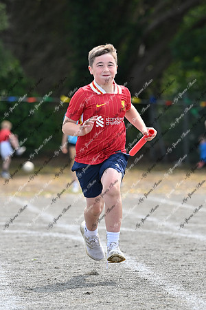 Tandragee PS-328
