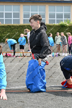 Tandragee PS-18