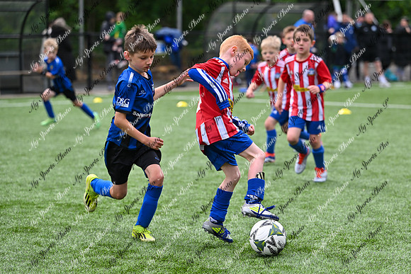Loughgall U7's Toutnament 2025-517