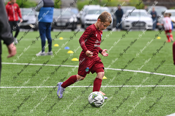 Loughgall U7's Toutnament 2025-381