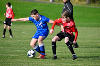 Loughgall v Maiden City-6