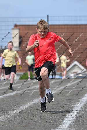Tandragee PS-241