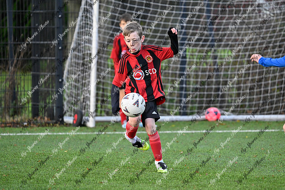 Loughgall v Hillsborough-6
