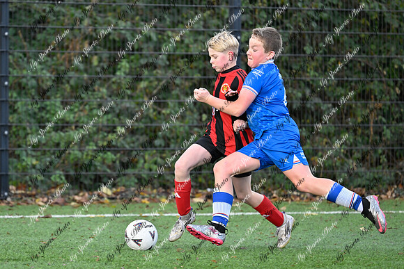 Loughgall v Hillsborough-97