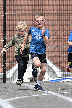 Tandragee PS-43