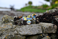 The Coast 2026 Search