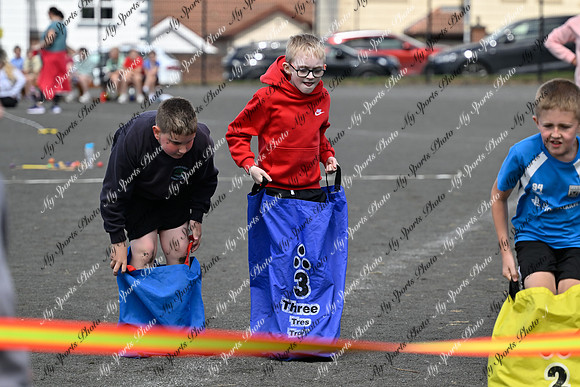 Tandragee 2026-21