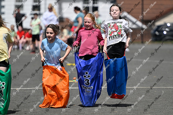 Tandragee 2026-53