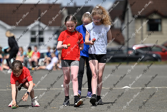 Tandragee 2026-108