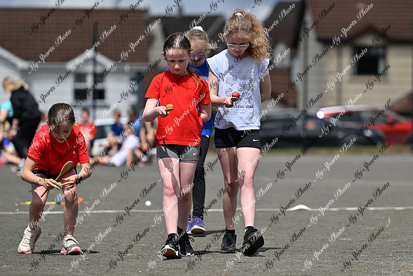 Tandragee 2026-110