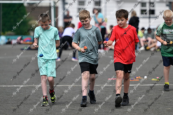 Tandragee 2026-135