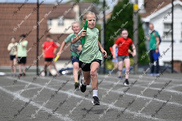Tandragee 2026-310