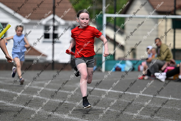 Tandragee 2026-313