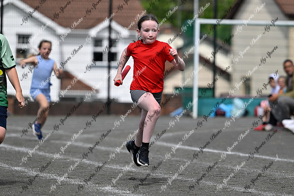 Tandragee 2026-312