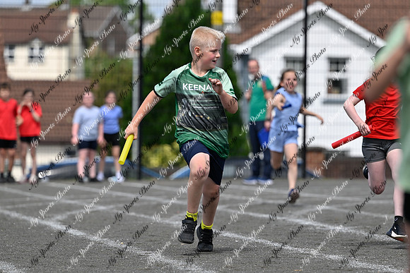 Tandragee 2026-311