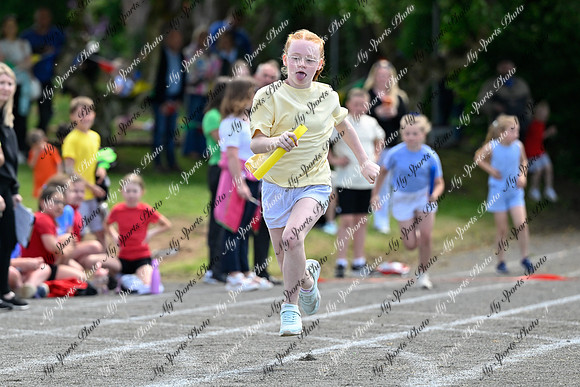 Tandragee 2026-323
