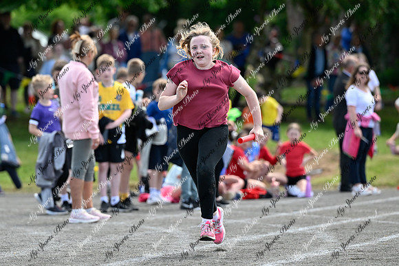 Tandragee 2026-320