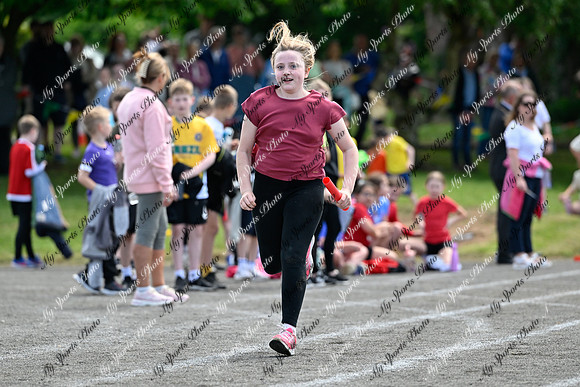 Tandragee 2026-321