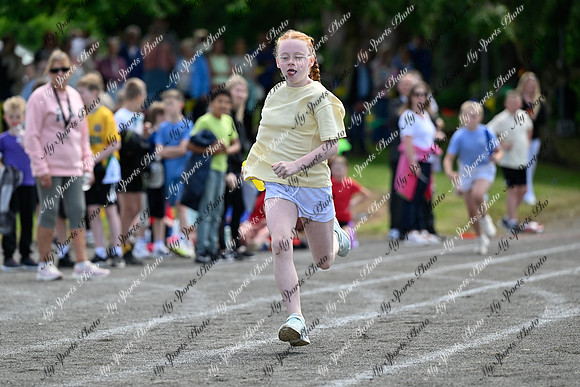 Tandragee 2026-325