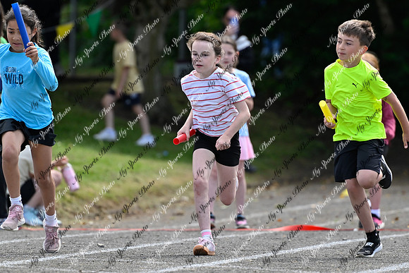 Tandragee 2026-341