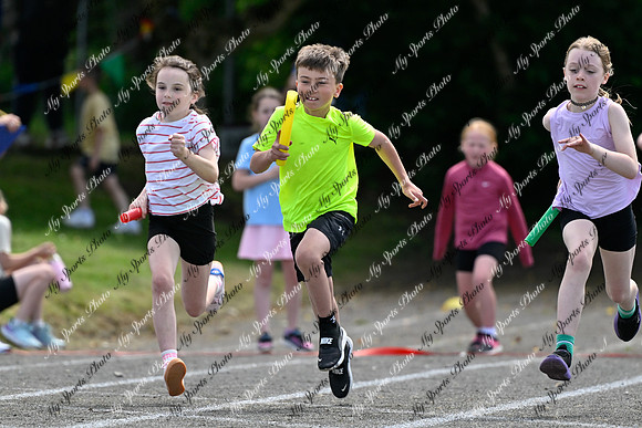 Tandragee 2026-343