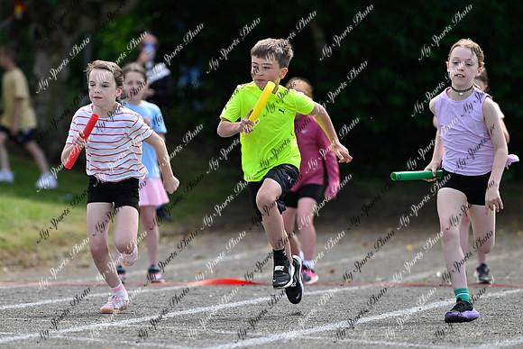 Tandragee 2026-342