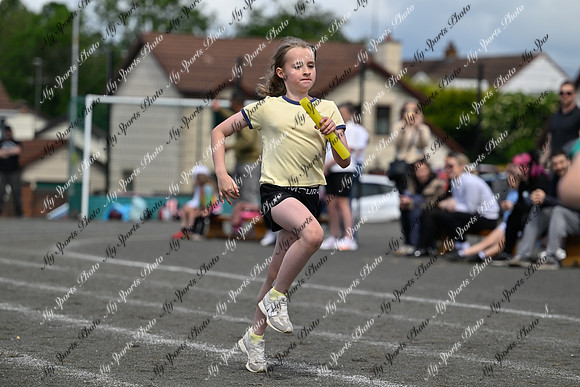 Tandragee 2026-353
