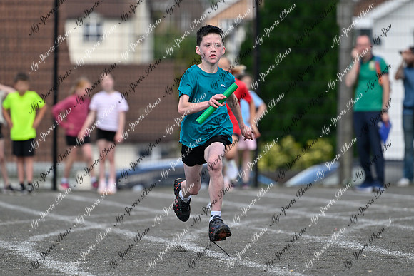 Tandragee 2026-374