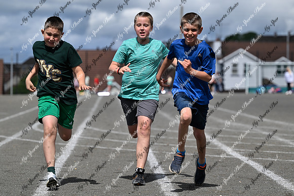 Tandragee 2026-80