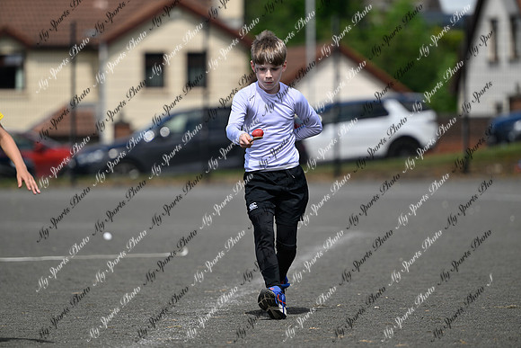 Tandragee 2026-235