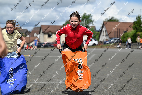 Tandragee 2026-222