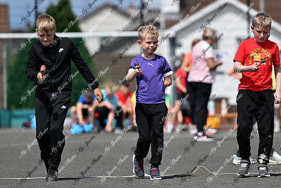 Tandragee 2026-241