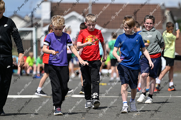 Tandragee 2026-247