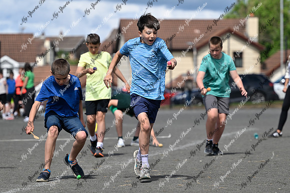 Tandragee 2026-268