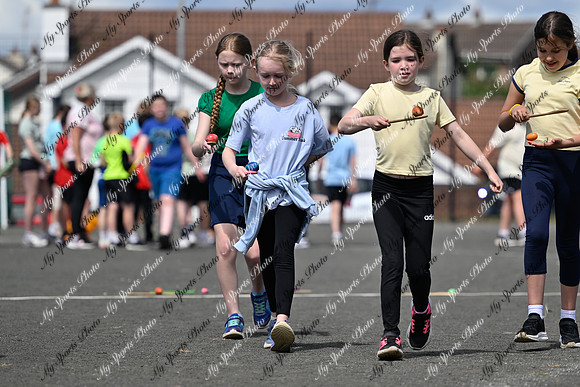 Tandragee 2026-282