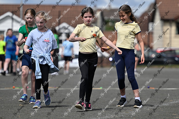 Tandragee 2026-284