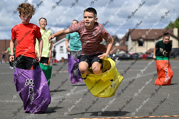 Tandragee 2026-301