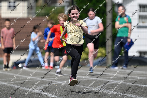 Tandragee 2026-391