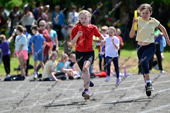 Tandragee 2026-402