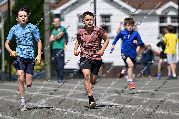Tandragee 2026-411