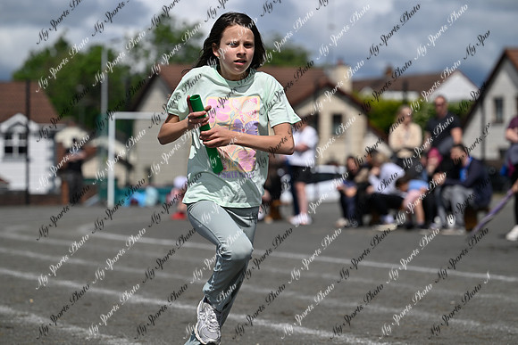 Tandragee 2026-421