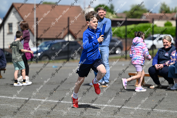 Tandragee 2026-415