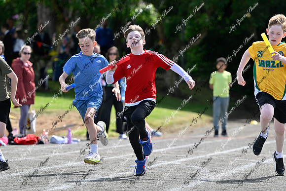 Tandragee 2026-427