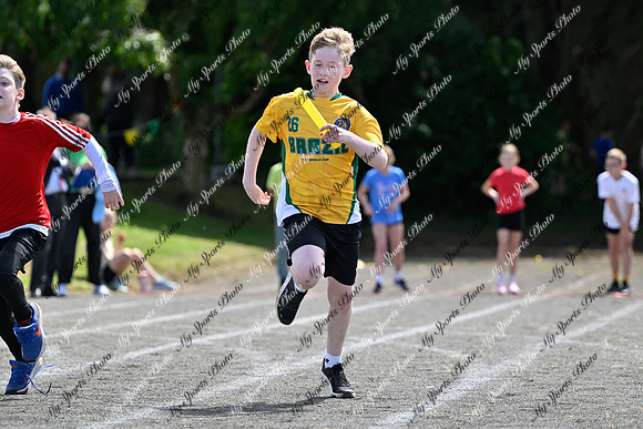 Tandragee 2026-428