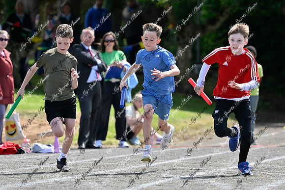 Tandragee 2026-426
