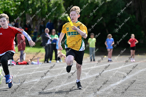 Tandragee 2026-429