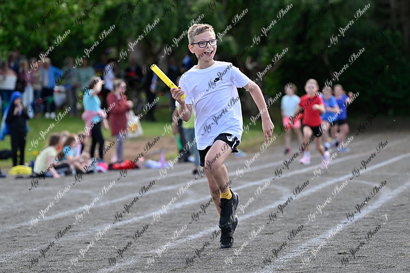 Tandragee 2026-444
